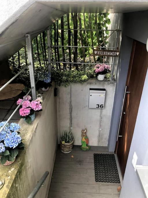Wohnung In Gehobener Lage 布鲁赫萨尔 外观 照片